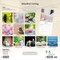 Mindful Living | 2026 12 x 24 Inch (Hanging) Monthly Square Wall Calendar | Plastic-Free | Brush Dance | Art Quotes Photography Inspiration